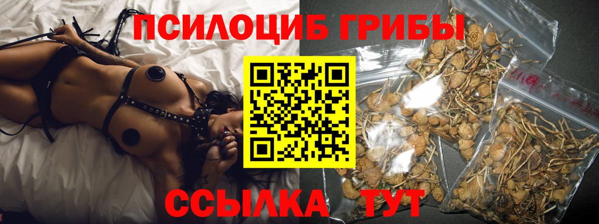 Галлюциногенные грибы Magic Shrooms Видное